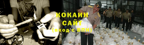 амф Алексин