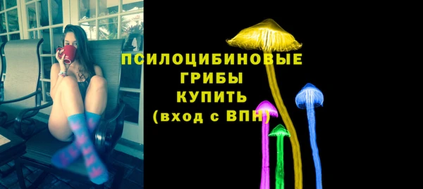 амф Алексин