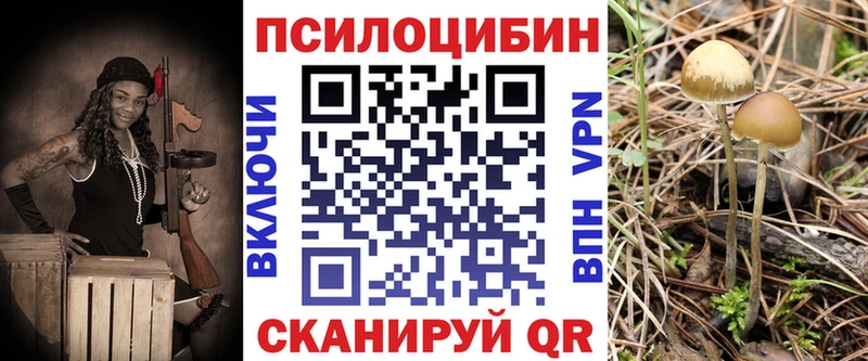 Галлюциногенные грибы ЛСД  hydra ONION  Макушино 